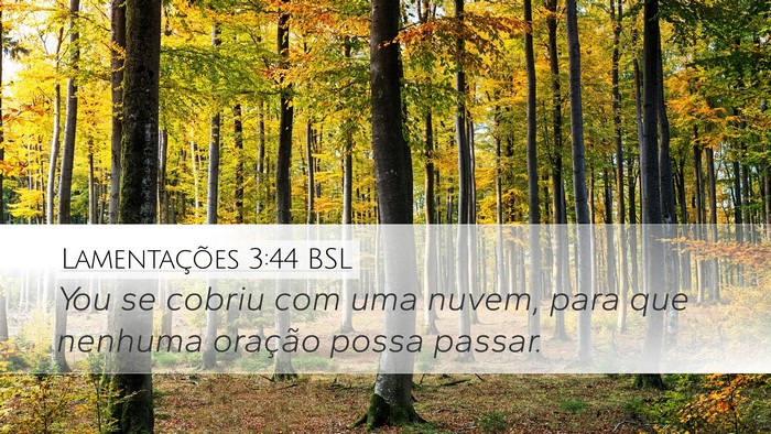 Lamentações 3:44 BSL Bible Verse Image