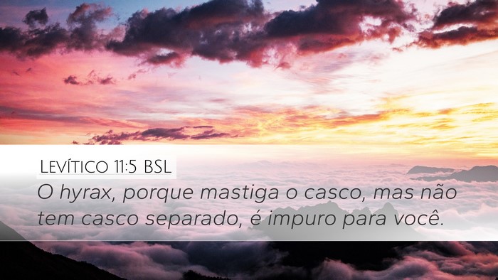 Levítico 11:5 BSL Bible Verse Image