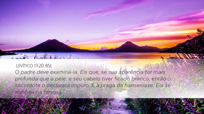 Levítico 13:20 BSL Desktop Wallpaper - O padre deve examiná-la. Eis que, se sua - Desktop Bible Verse Wallpaper