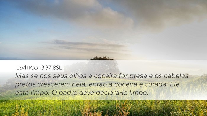 Levítico 13:37 BSL Desktop Wallpaper - Mas se nos seus olhos a coceira for presa e os - Desktop Bible Verse Wallpaper