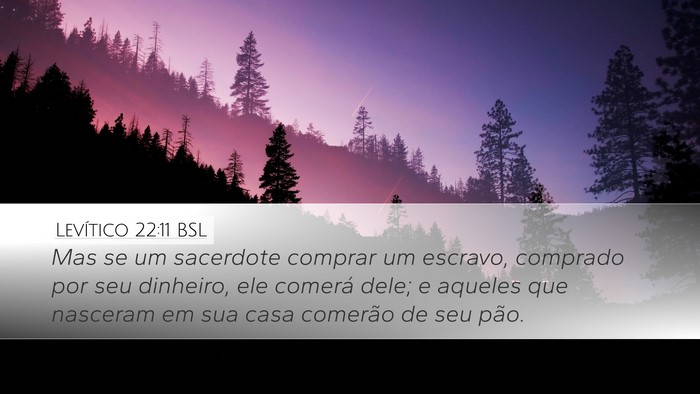 Levítico 22:11 BSL Desktop Wallpaper - Mas se um sacerdote comprar um escravo, comprado - Desktop Bible Verse Wallpaper