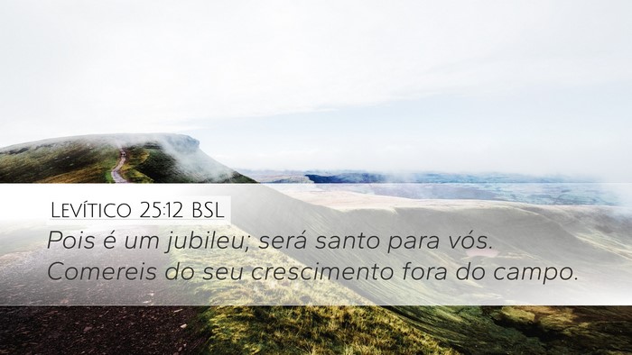 Levítico 25:12 BSL Desktop Wallpaper - Pois é um jubileu; será santo para vós. - Desktop Bible Verse Wallpaper