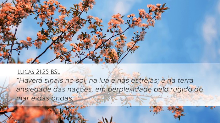 Lucas 21:25 BSL Bible Verse Image