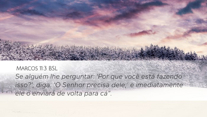 Marcos 11:3 BSL Desktop Wallpaper - Se alguém lhe perguntar: 'Por que você está - Desktop Bible Verse Wallpaper