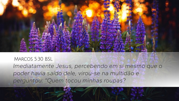 Marcos 5:30 BSL Bible Verse Image