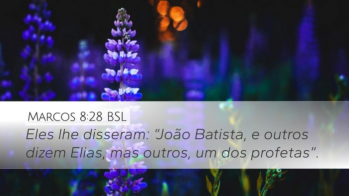 Marcos 8:28 BSL Bible Verse Image