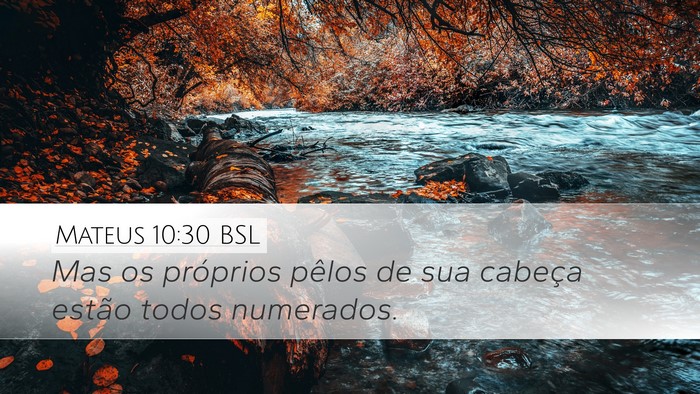 Mateus 10:30 BSL Desktop Wallpaper - Mas os próprios pêlos de sua cabeça estão - Desktop Bible Verse Wallpaper
