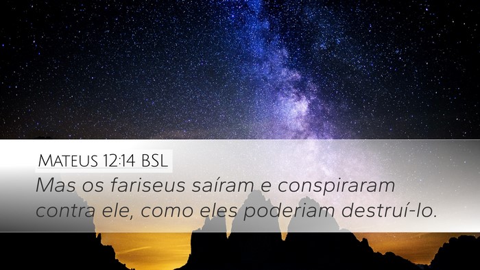 Mateus 12:14 BSL Bible Verse Image