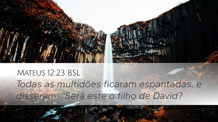 Mateus 12:23 BSL Bible Verse Image