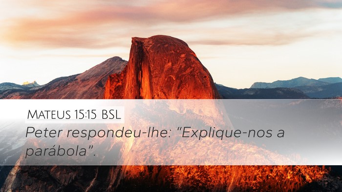 Mateus 15:15 BSL Bible Verse Image