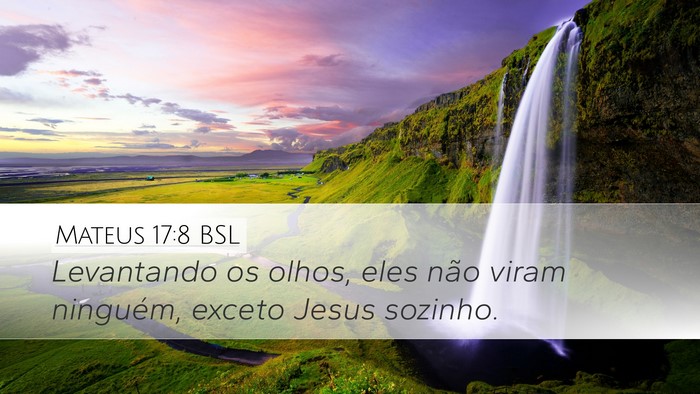 Mateus 17:8 BSL Desktop Wallpaper - Levantando os olhos, eles não viram ninguém, - Desktop Bible Verse Wallpaper