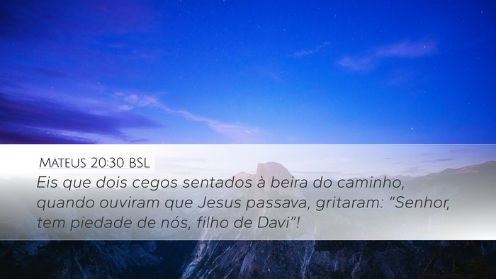 Mateus 20:30 BSL Bible Verse Image