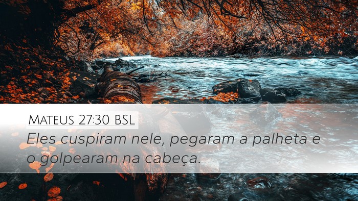 Mateus 27:30 BSL Bible Verse Image