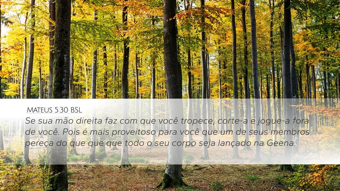 Mateus 5:30 BSL Desktop Wallpaper - Se sua mão direita faz com que você tropece, - Desktop Bible Verse Wallpaper