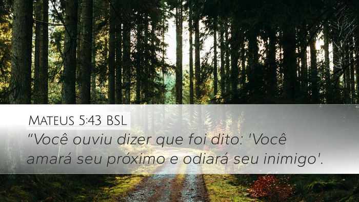 Mateus 5:43 BSL Bible Verse Image