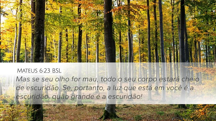 Mateus 6:23 BSL Bible Verse Image