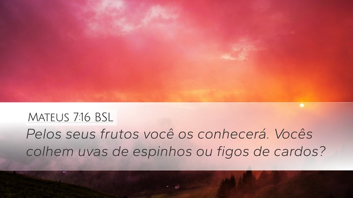 Mateus 7:16 BSL Desktop Wallpaper - Pelos seus frutos você os conhecerá. Vocês - Desktop Bible Verse Wallpaper