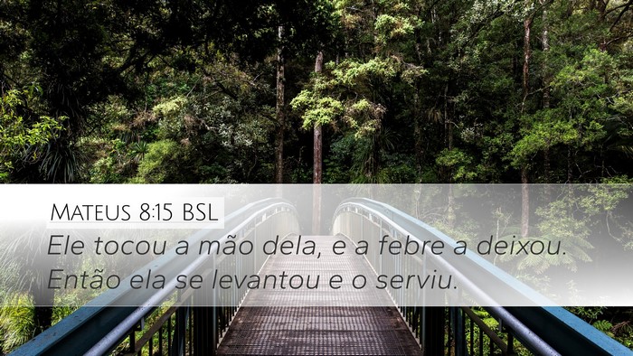 Mateus 8:15 BSL Desktop Wallpaper - Ele tocou a mão dela, e a febre a deixou. Então - Desktop Bible Verse Wallpaper