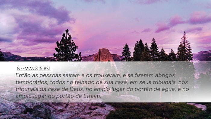 Neemias 8:16 BSL Bible Verse Image