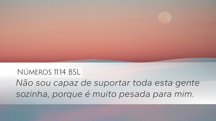 Números 11:14 BSL Bible Verse Image