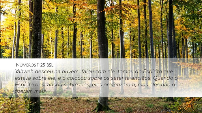 Números 11:25 BSL Bible Verse Image