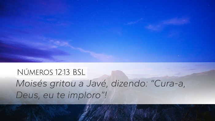 Números 12:13 BSL Bible Verse Image