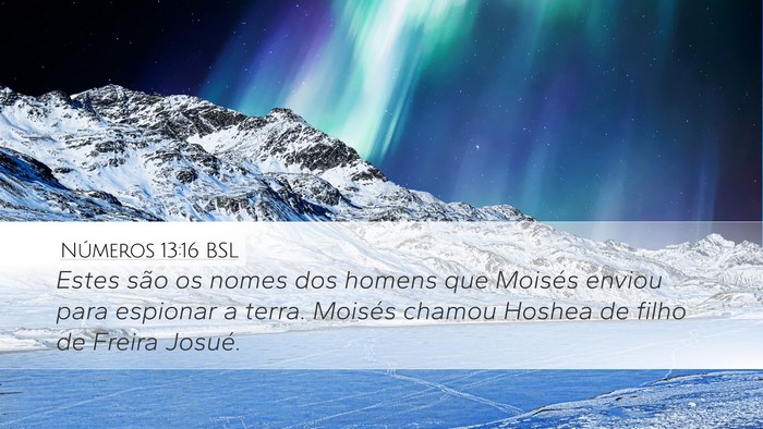 Números 13:16 BSL Bible Verse Image