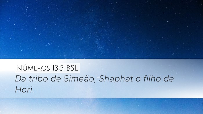 Números 13:5 BSL Desktop Wallpaper - Da tribo de Simeão, Shaphat o filho de - Desktop Bible Verse Wallpaper