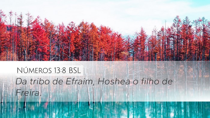Números 13:8 BSL Bible Verse Image