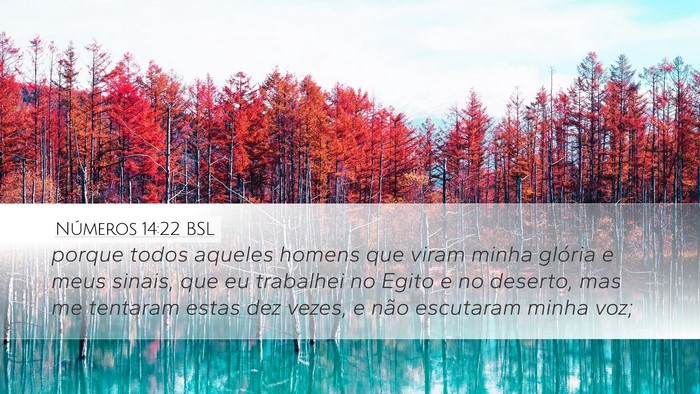 Números 14:22 BSL Desktop Wallpaper - porque todos aqueles homens que viram minha - Desktop Bible Verse Wallpaper