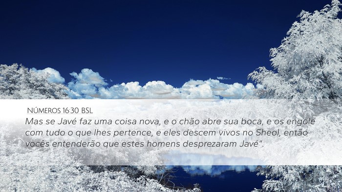 Números 16:30 BSL Bible Verse Image