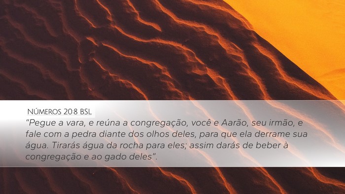 Números 20:8 BSL Bible Verse Image