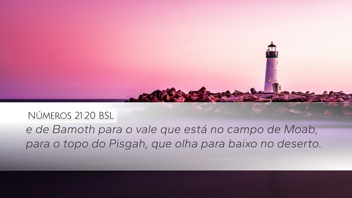 Números 21:20 BSL Bible Verse Image