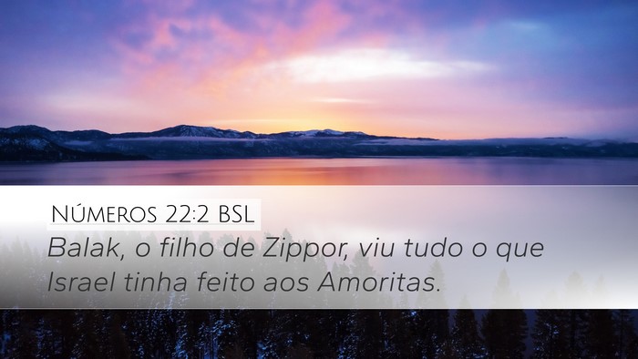 Números 22:2 BSL Bible Verse Image