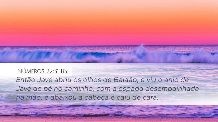 Números 22:31 BSL Desktop Wallpaper - Então Javé abriu os olhos de Balaão, e viu o - Desktop Bible Verse Wallpaper