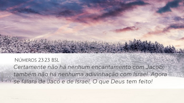 Números 23:23 BSL Bible Verse Image