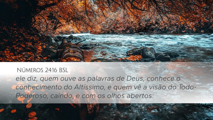 Números 24:16 BSL Bible Verse Image