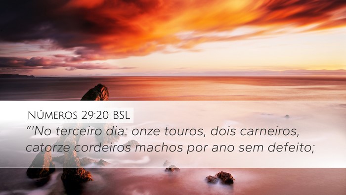 Números 29:20 BSL Bible Verse Image