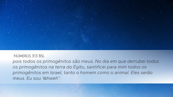 Números 3:13 BSL Bible Verse Image