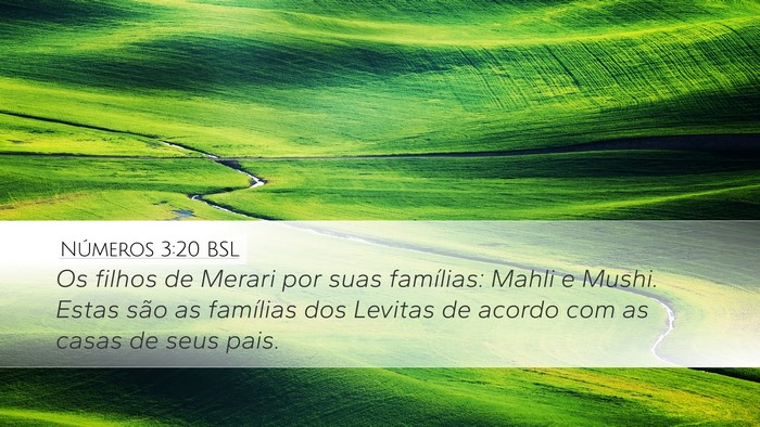 Números 3:20 BSL Bible Verse Image