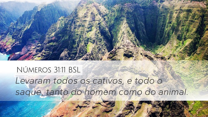 Números 31:11 BSL Desktop Wallpaper - Levaram todos os cativos, e todo o saque, tanto - Desktop Bible Verse Wallpaper