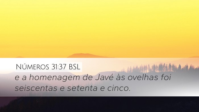 Números 31:37 BSL Desktop Wallpaper - e a homenagem de Javé às ovelhas foi seiscentas - Desktop Bible Verse Wallpaper