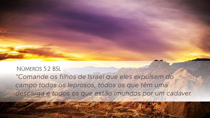 Números 5:2 BSL Bible Verse Image