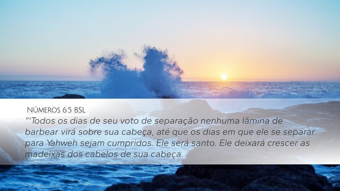 Números 6:5 BSL Bible Verse Image