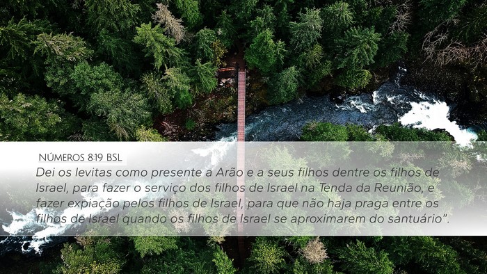 Números 8:19 BSL Bible Verse Image