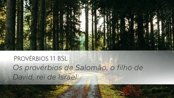 Provérbios 1:1 BSL Desktop Wallpaper - Os provérbios de Salomão, o filho de David, rei - Desktop Bible Verse Wallpaper