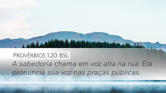 Provérbios 1:20 BSL Bible Verse Image