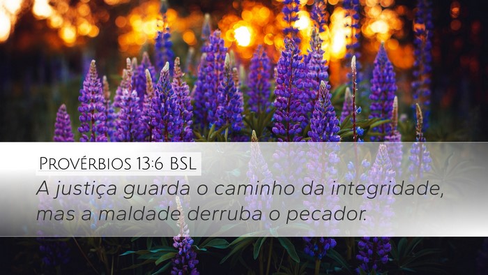 Provérbios 13:6 BSL Desktop Wallpaper - A justiça guarda o caminho da integridade, mas a - Desktop Bible Verse Wallpaper