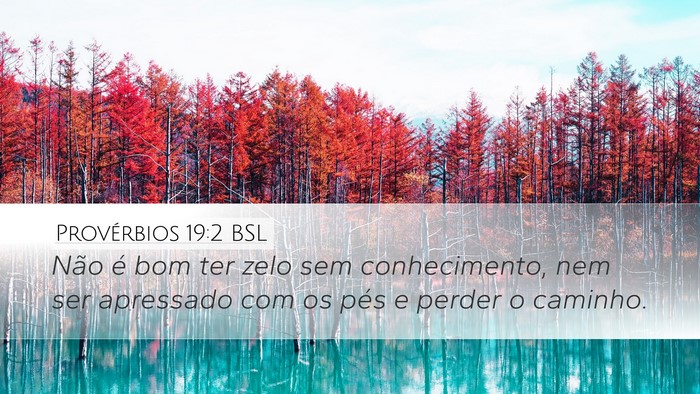 Provérbios 19:2 BSL Desktop Wallpaper - Não é bom ter zelo sem conhecimento, nem ser - Desktop Bible Verse Wallpaper