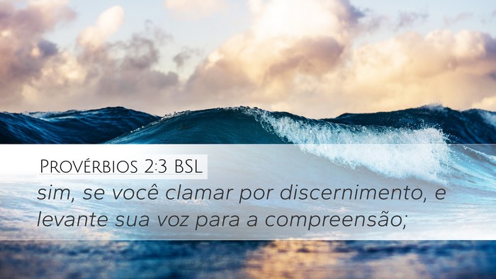 Provérbios 2:3 BSL Bible Verse Image